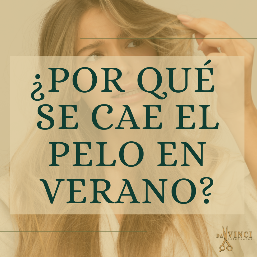 ¿Por qué se cae el pelo en verano?