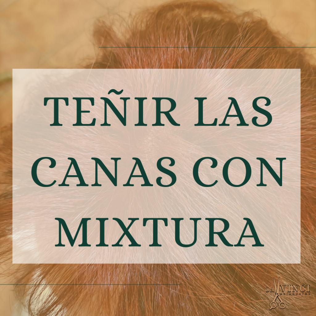 TEÑIR LAS CANAS DE FORMA NATURAL